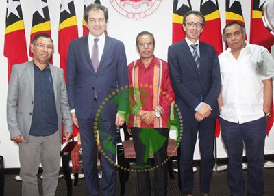 Delegação UE quer verificar financiamento estratégico na área infraestrutura