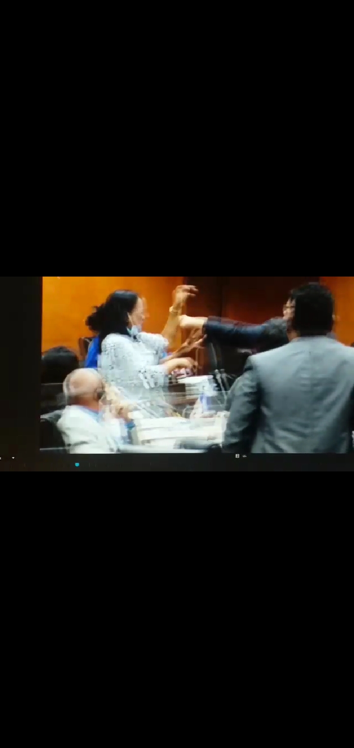 Duas deputadas envolvem-se em agressões físicas e verbais no Parlamento