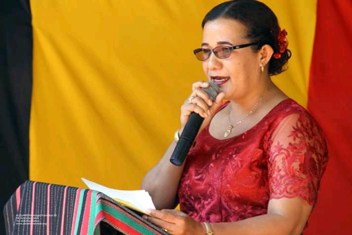 Cedelizia dos Santos: PN dá prioridade para 2021 a produção de leis, fiscalização e construção do novo edifício