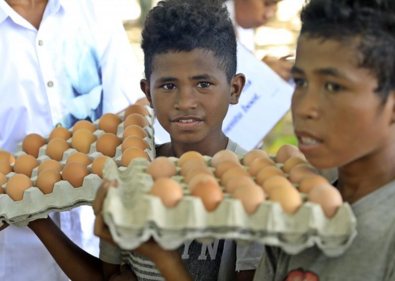 CNTI elabora esboço de lei sobre medidas que proíbem envolvimento de crianças em atividades laborais