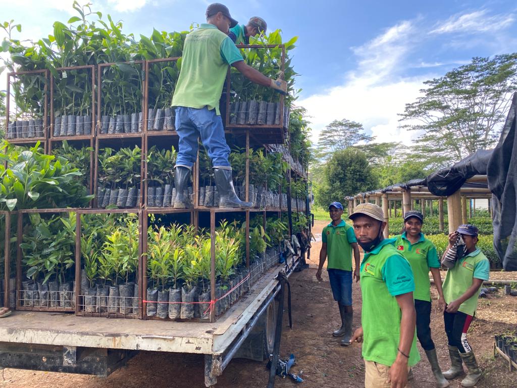 MAP, GIZ e Quinta Portugal distribuem árvores no Dia Nacional do Sândalo e das Florestas