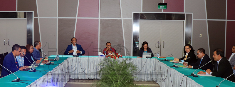 Executivo define composição do Comité de Revisão Político