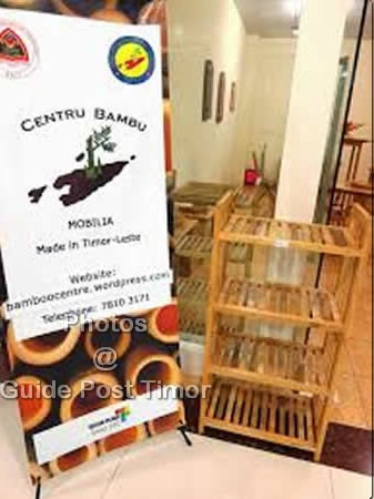 Instituto do Bambu propõe 500 mil dólares americanos adicionais no orçamento de 2022
