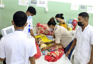 Parlamento pede ao MS participação de parceiros internacionais no combate ao surto de dengue