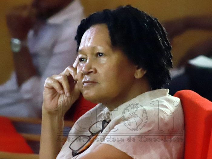 ONG pedem a autoridades locais que disponibilizem terrenos para cultivo de algodão