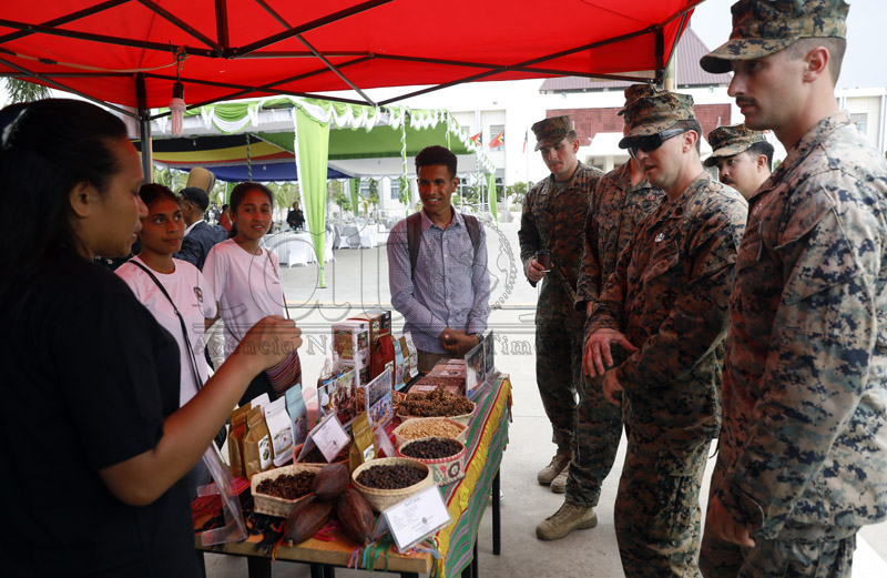 Café híbrido de Timor é um legado histórico mundial