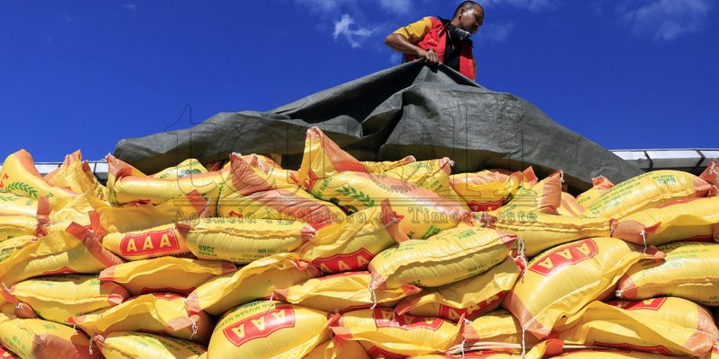CLN vai adquirir cerca de quatro toneladas de arroz para reforçar segurança alimentar