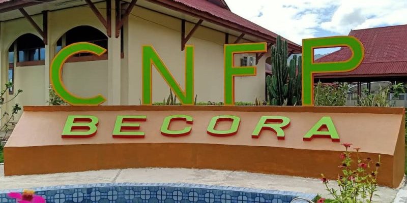 Retoma e expansão da formação profissional em Timor-Leste é intenção do Brasil