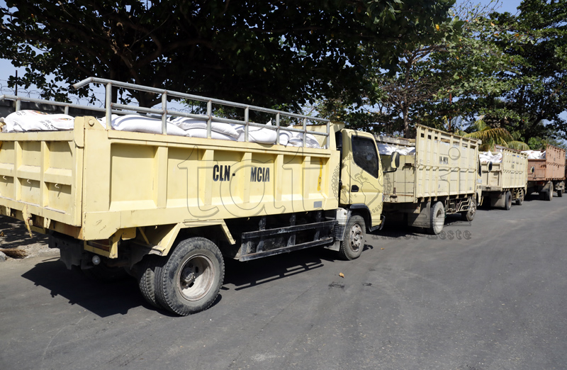 Apoios para embaratecer preço do arroz incluem produtores e armazenadores locais