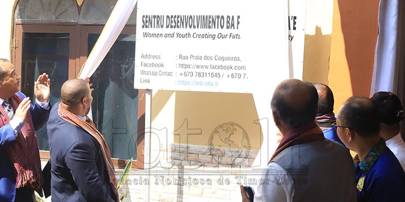 Apoiar empresas sociais é meta do programa ‘Mulheres e Jovens a criar o Nosso Futuro’