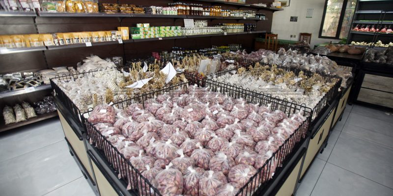 Banco Mundial: Crescimento de 4,1% da economia timorense em 2026 insuficiente para garantir a sua sustentabilidade