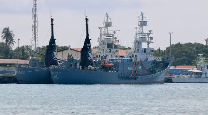 Justificada presença de navios baleeiros japoneses no Porto de Díli