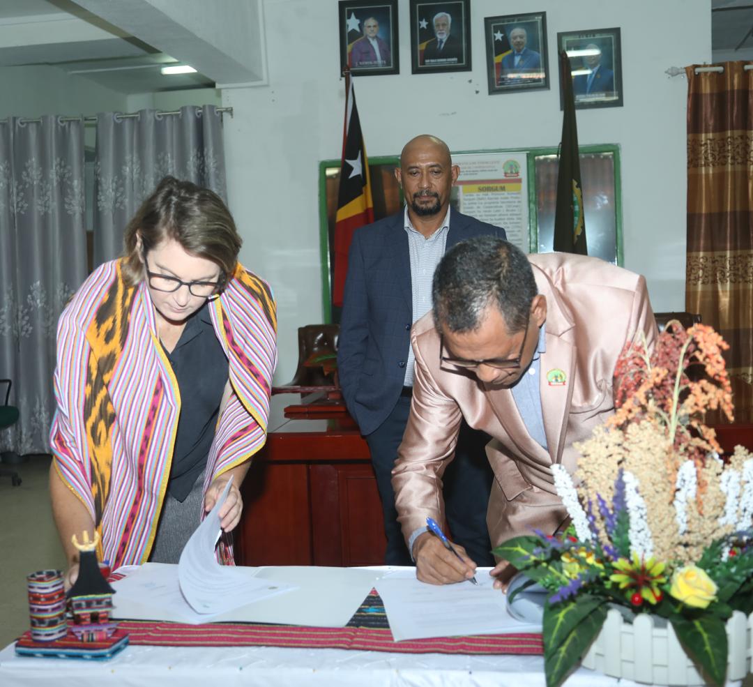 ADRA e cooperativas de Viqueque juntam-se para produzir mais e gerir melhor