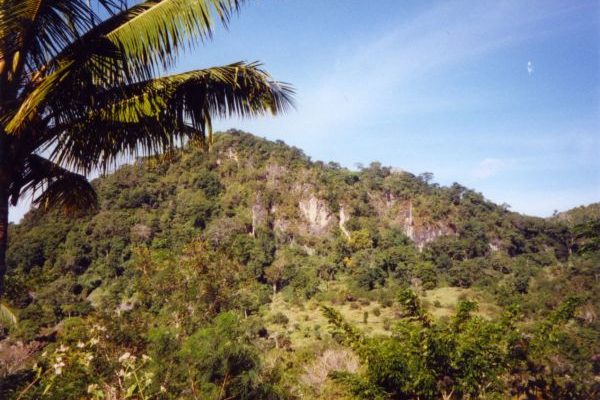 Criada comissão para se definir estatuto do Parque Nacional Nino Konis Santana