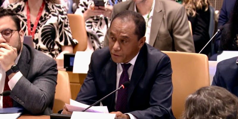 Reavivar Memórias: o Papel Desconhecido das Mulheres Pioneiras na Luta e na Diplomacia em Timor-Leste (1975-2000)