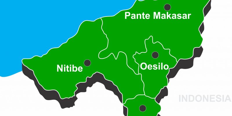 RAEOA lança projeto Oé-Cusse Digital Centre