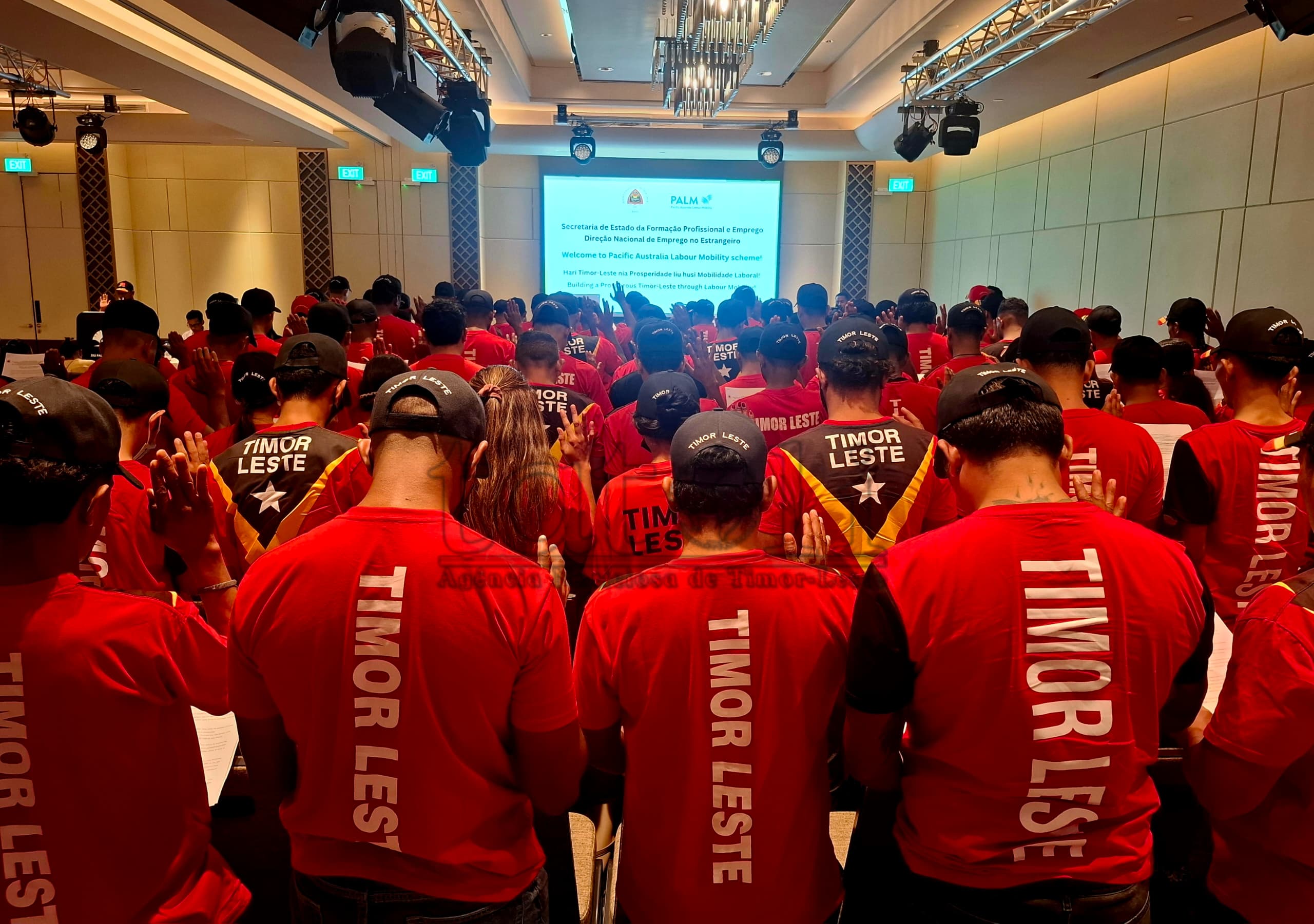 Mais de 100 trabalhadores sazonais vão partir para a Austrália