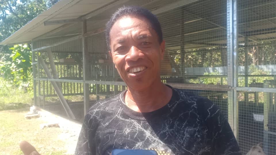 Grupo Lekimalik de Viqueque investe na criação de animais