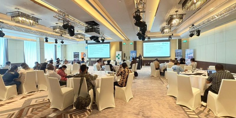 OMS e Ministério da Saúde avaliam avanços no combate à tuberculose e ao VIH/SIDA