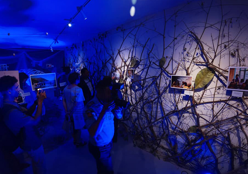 Blue Ventures celebra dez anos de conservação marinha no país