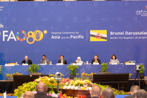 Apresentadas prioridades nacionais agrícolas na conferência regional da FAO