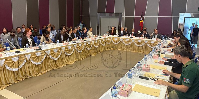 MAPPF reúne parceiros para reforçar desenvolvimento da agricultura