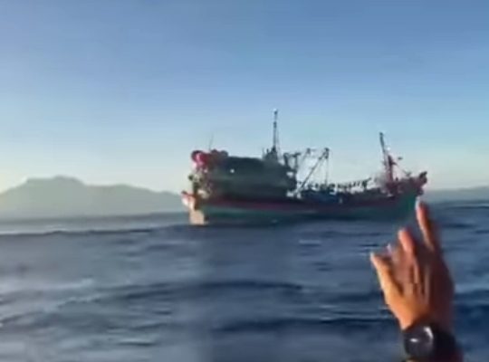 Apreendida embarcação com nove toneladas de pescado ilegal