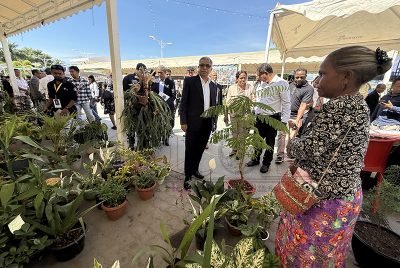 Mini Expo em Díli valoriza flores nativas como preparação para Green Expo 2027 no Japão