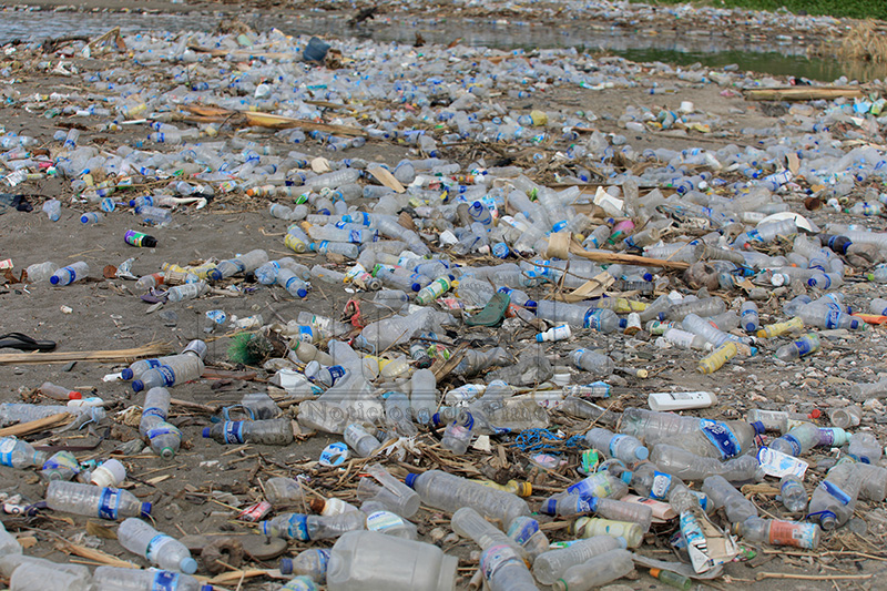 ONU alerta para riscos do contacto de plásticos reciclados com produtos alimentares